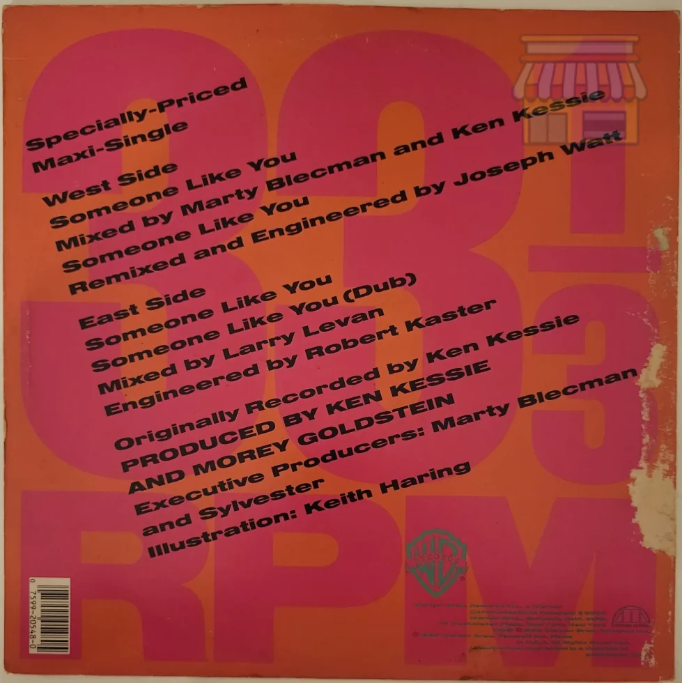 Sylvester - Someone Like You LP thumbnail 2