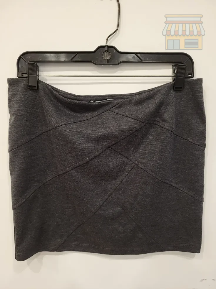 Dark Gray Panelled Tube Skirt • Condition: Excellent • Location: Davie, FL • Price: Free